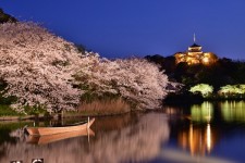 桜や紅葉が映える純日本庭園！横浜「三渓園」の見どころを知る！